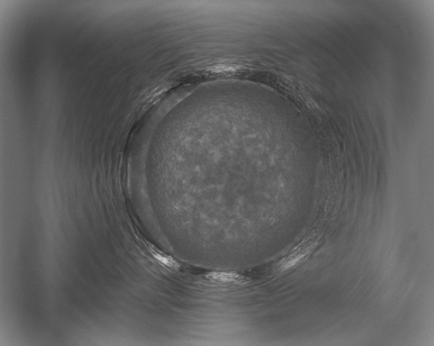 X0000052590528200507081757