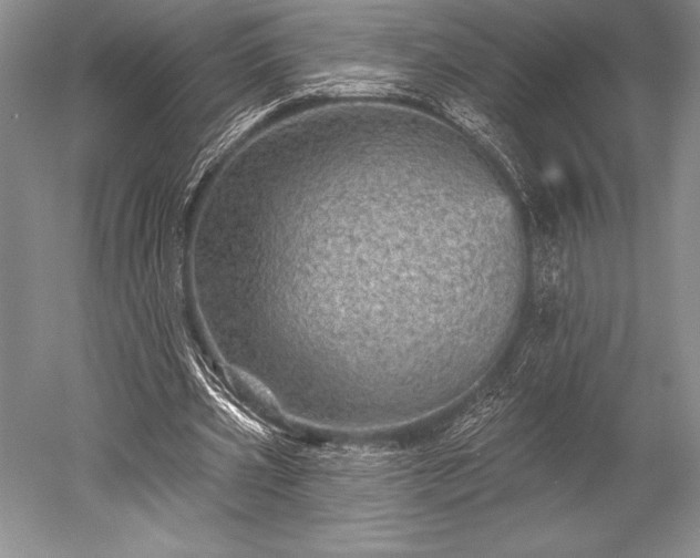 X0000052590533200507081756