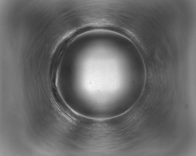 X0000052590535200507081756
