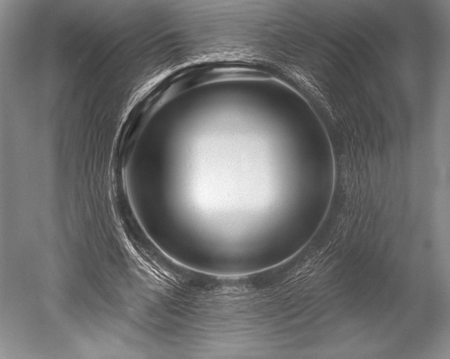 X0000052590536200507081756