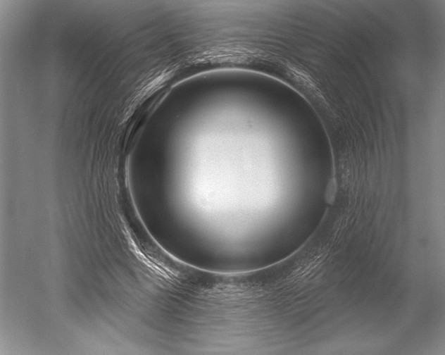 X0000052590538200507081756