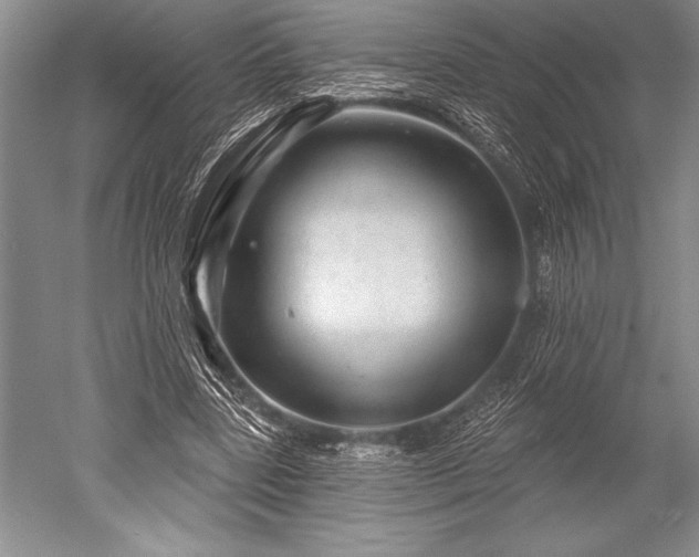 X0000052590539200507081756