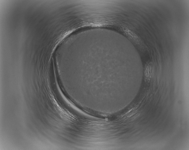 X0000052590540200507081756