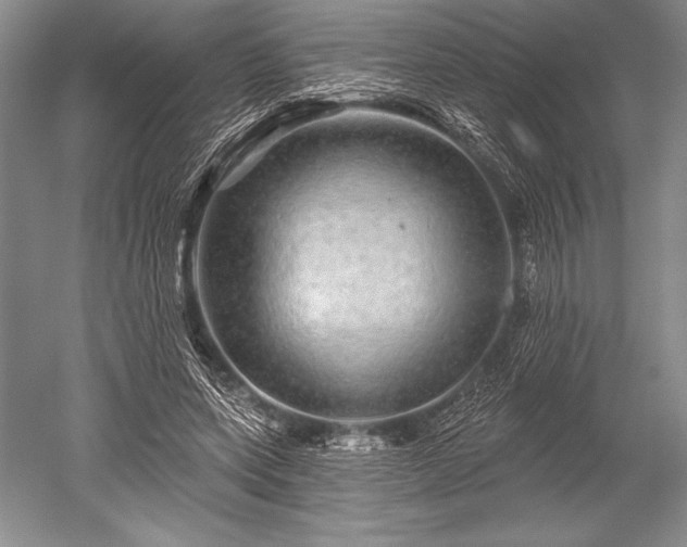 X0000052590543200507081757
