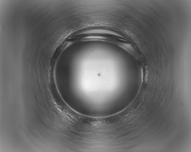 X0000052590544200507081757