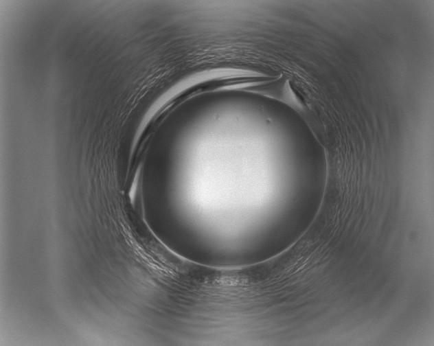 X0000052590546200507081757