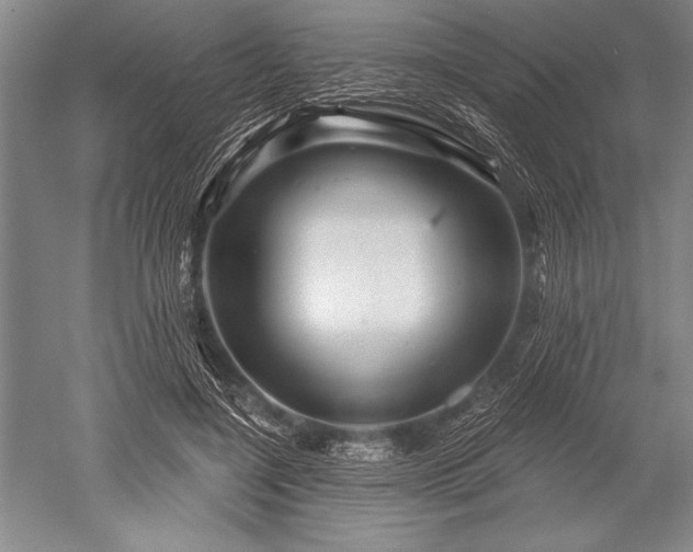 X0000052590548200507081757