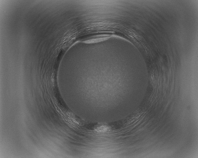 X0000052590551200507081757