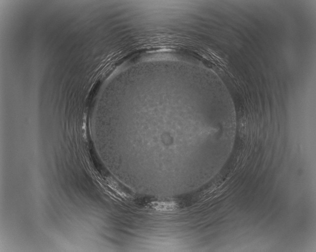 X0000052590552200507081757