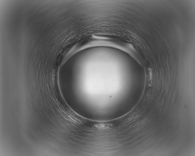 X0000052590558200507081757