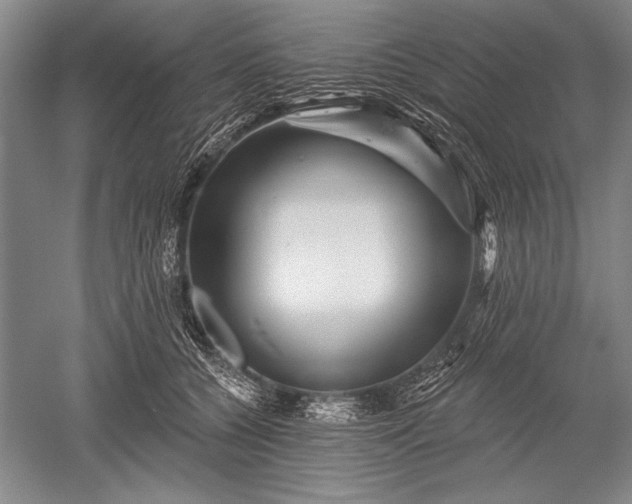 X0000052590560200507081757
