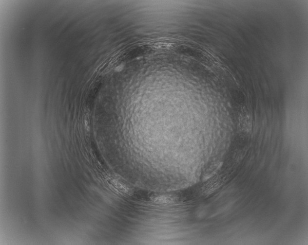 X0000052590561200507081757