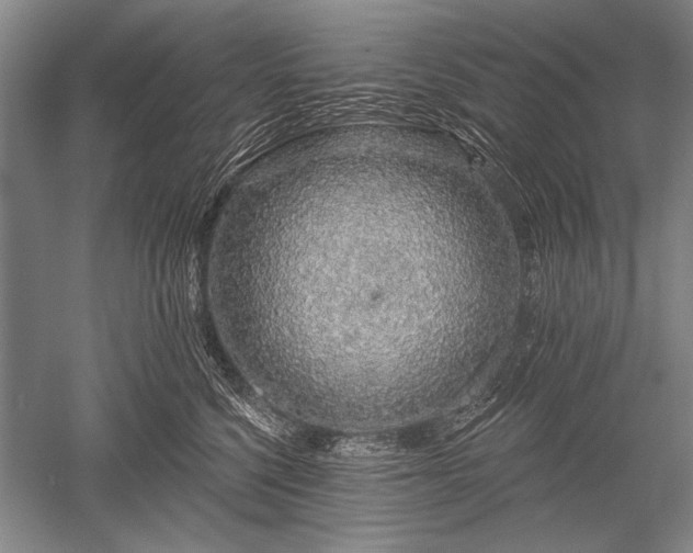 X0000052590568200507081757