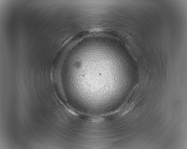 X0000052590576200507081757