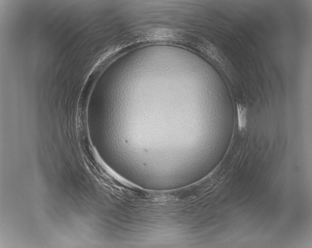 X0000052590579200507081756