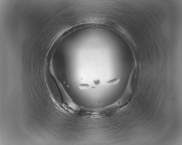 X0000052590580200507081756