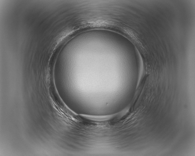 X0000052590583200507081756