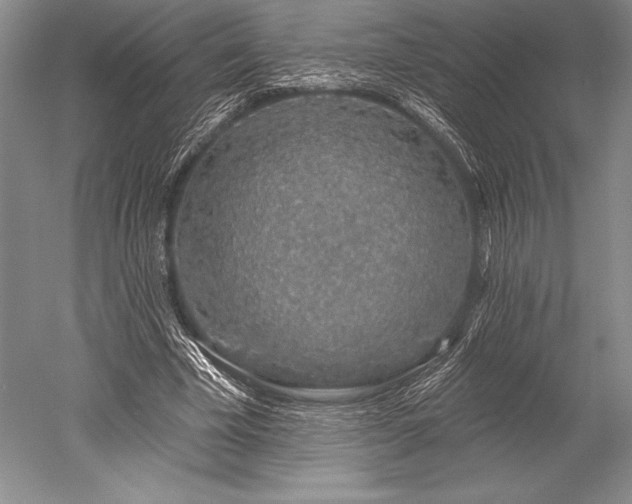 X0000052590585200507081756
