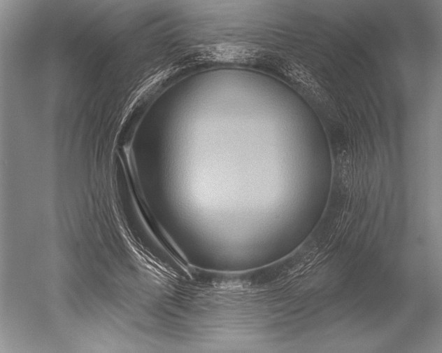 X0000052590587200507081756