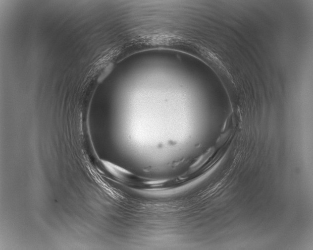 X0000052590589200507081756