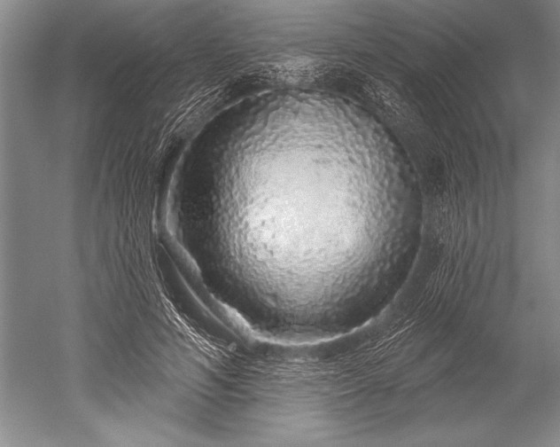X0000052590594200507081756
