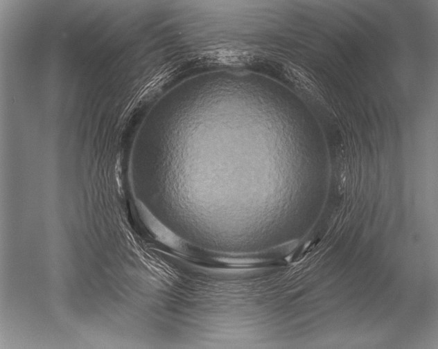 X0000052590595200507081756