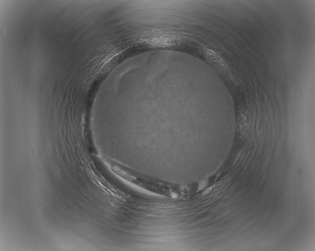 X0000052590596200507081756