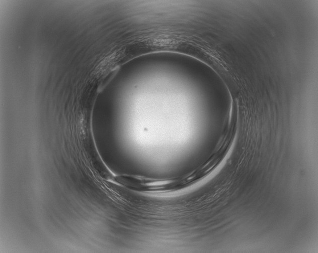 X0000052590597200507081756