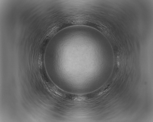 X0000052590599200507081756