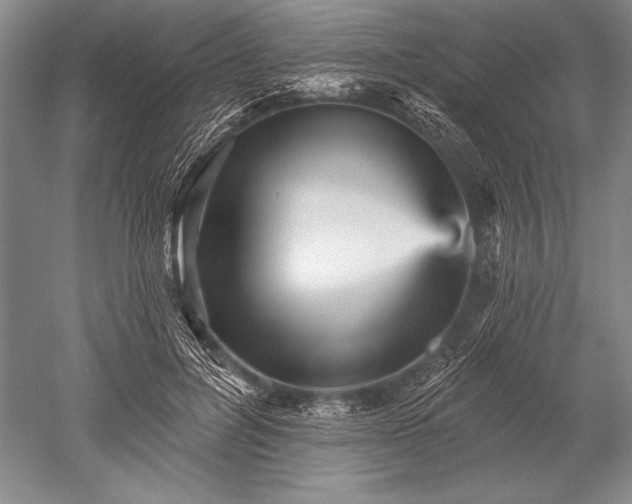 X0000052590600200507081756
