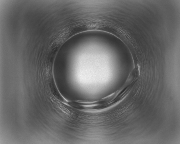 X0000052590601200507081756