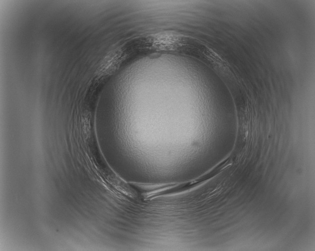 X0000052590603200507081756