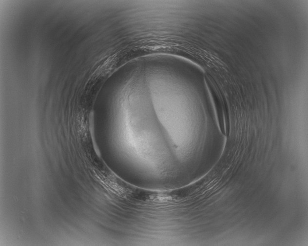 X0000052590607200507081756