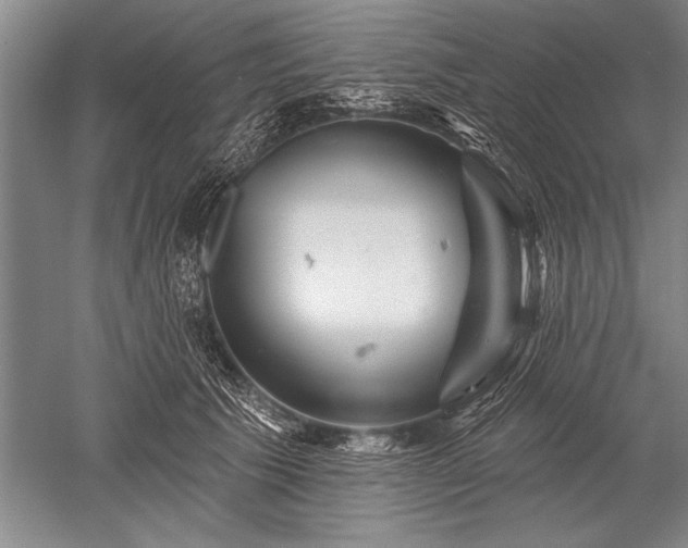X0000052590609200507081756