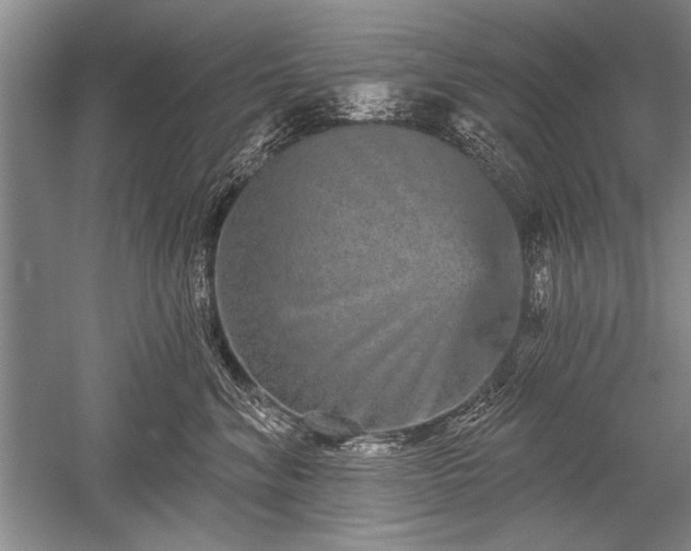 X0000052590620200507081756