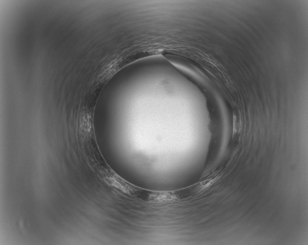 X0000052590621200507081756