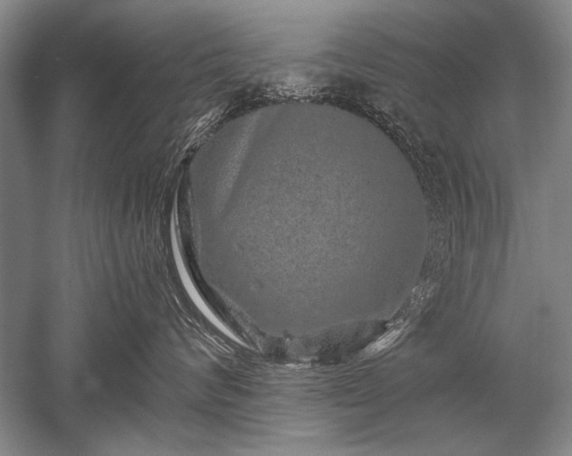X0000052590624200507081755
