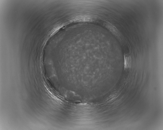 X0000052590627200507081755