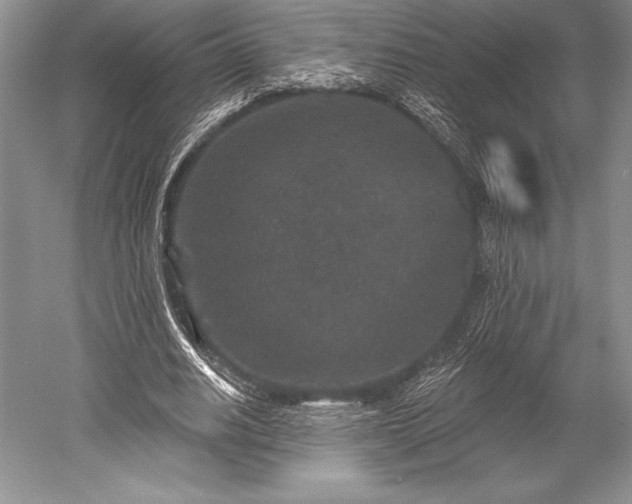 X0000052590630200507081755
