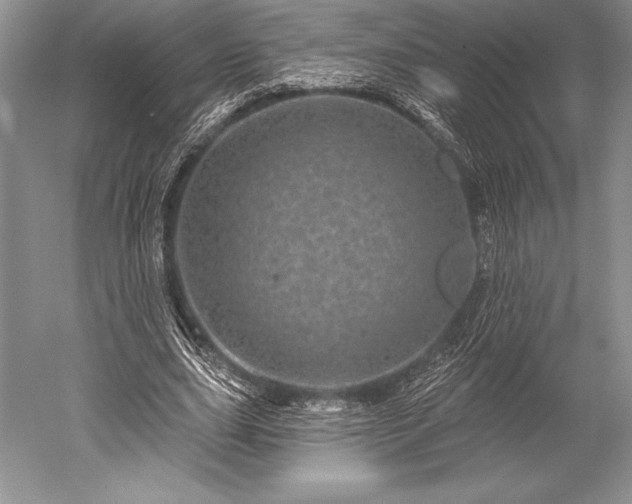 X0000052590631200507081755