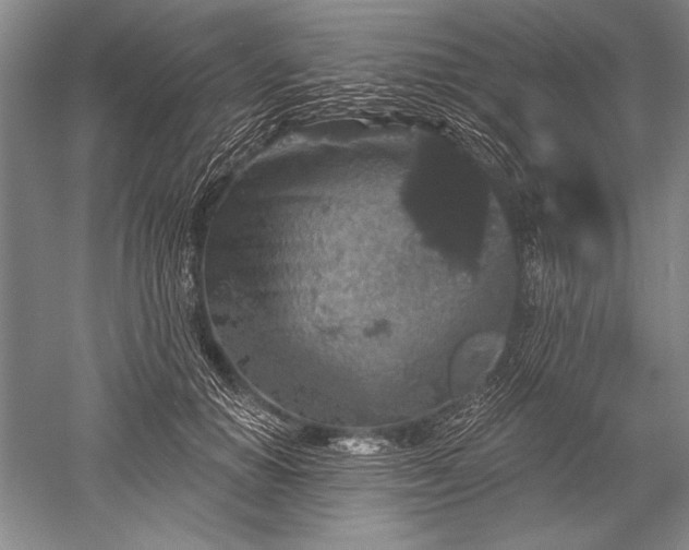 X0000052590654200507081755