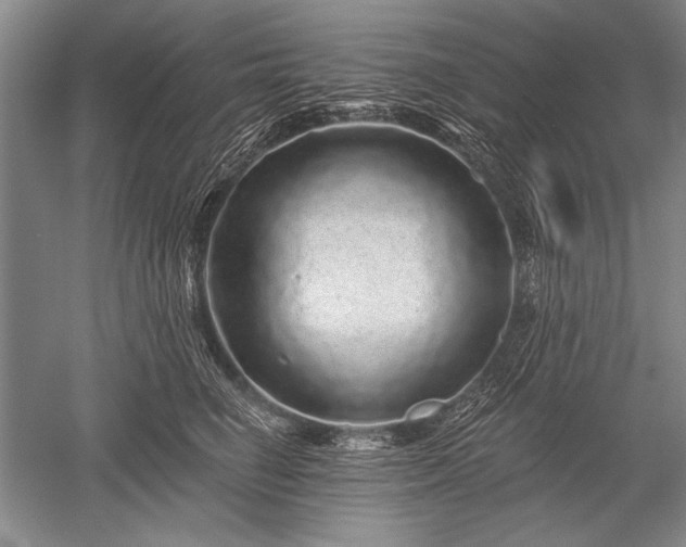 X0000052590662200507081755