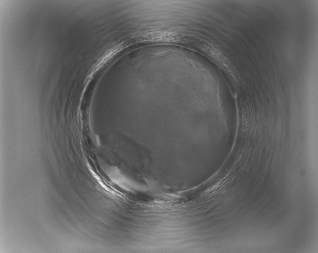 X0000052590674200507081755