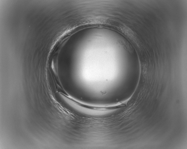 X0000052590676200507081755