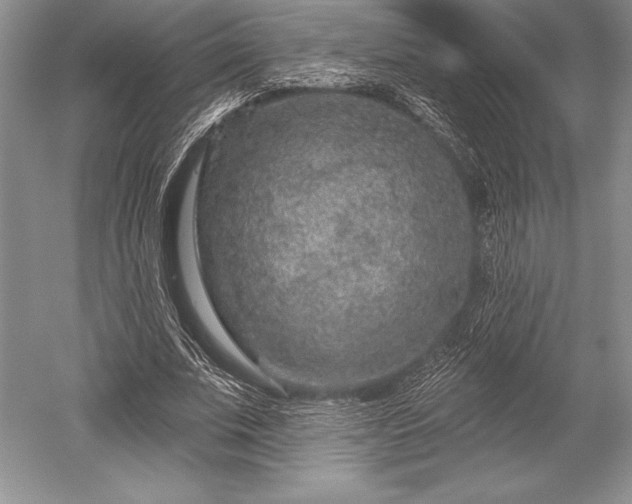 X0000052590679200507081755