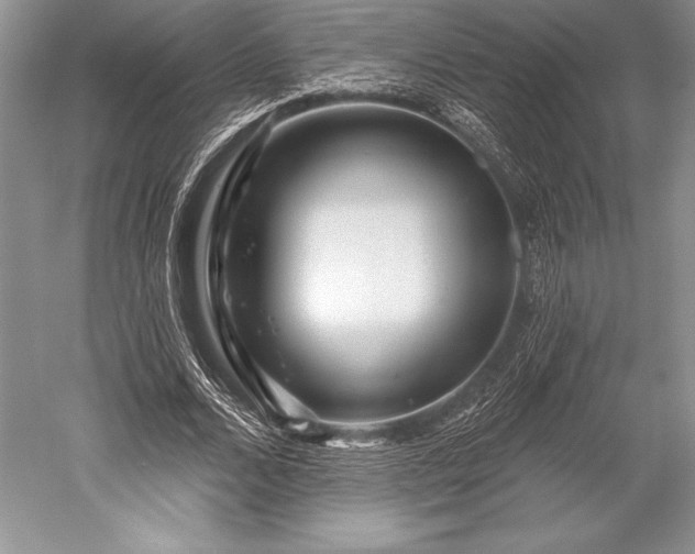 X0000052590680200507081755