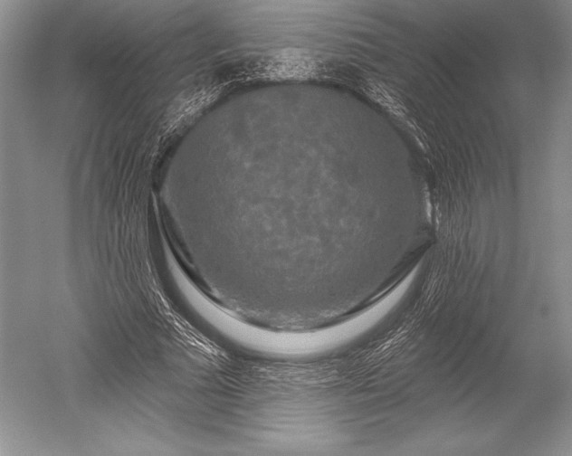 X0000052590681200507081755