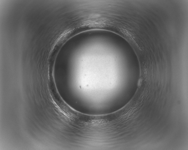 X0000052590686200507081754