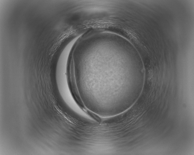 X0000052590687200507081754