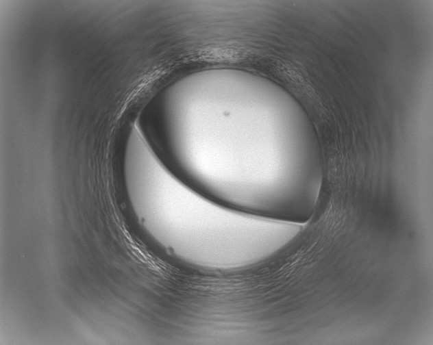 X0000052590688200507081754